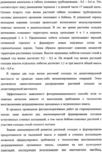 Фиторемедиационный способ очистки почв от тяжелых металлов (патент 2338353)