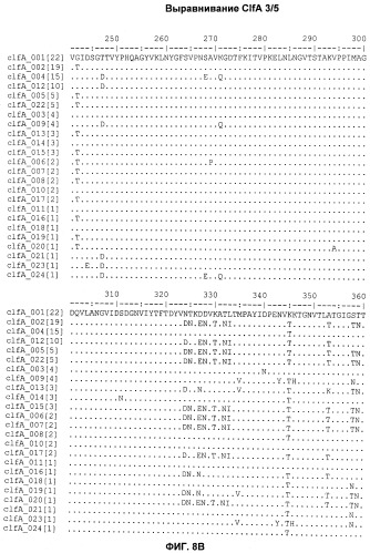 Иммуногенные композиции антигенов staphylococcus aureus (патент 2536981)