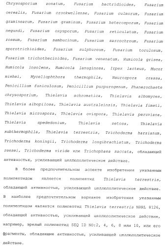 Клетка-хозяин trichoderma reesei для получения целлюлолитической белковой композиции, целлюлолитическая белковая композиция, способы ее получения и применения (патент 2494146)