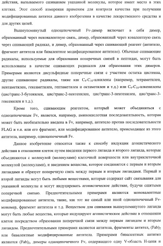 Агонистическое соединение, способное специфически узнавать и поперечно сшивать молекулу клеточной поверхности или внутриклеточную молекулу (патент 2430927)