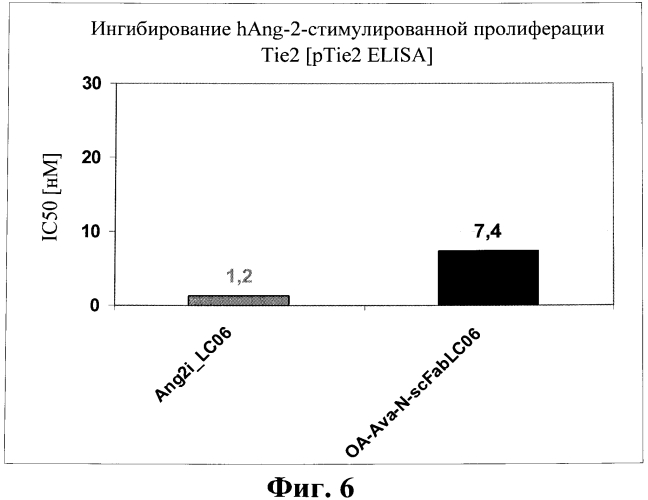 Биспецифические антитела (патент 2573588)