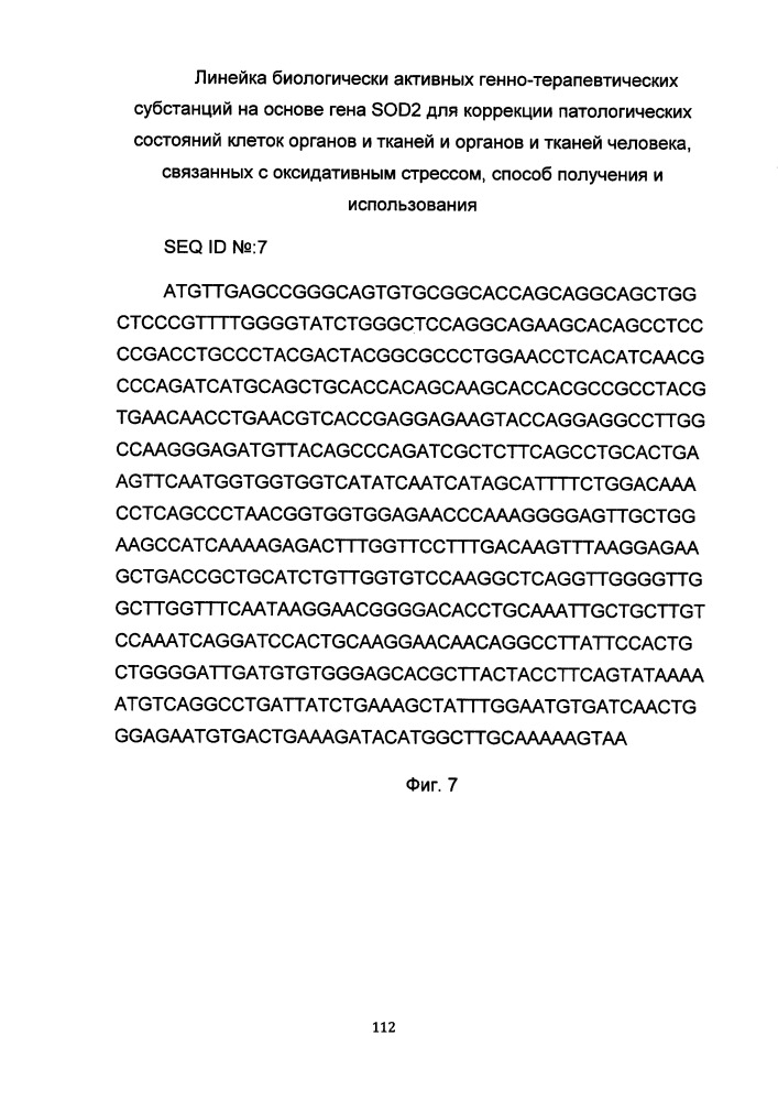 Линейка биологически активных генно-терапевтических субстанций на основе гена sod2 для коррекции патологических состояний клеток органов и тканей и органов и тканей человека, связанных с оксидативным стрессом, способ получения и использования (патент 2651757)