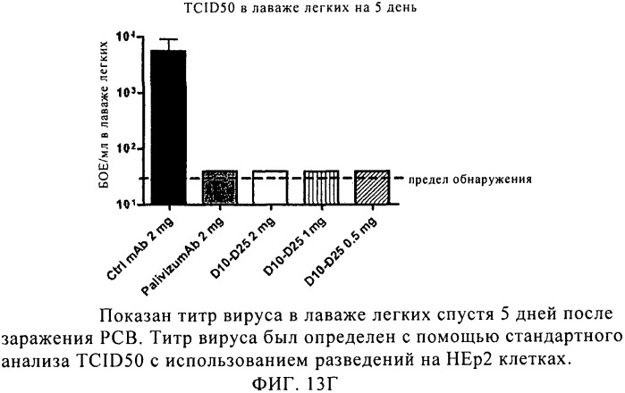 Рсв-специфичные связывающие молекулы и средства для их получения (патент 2527067)