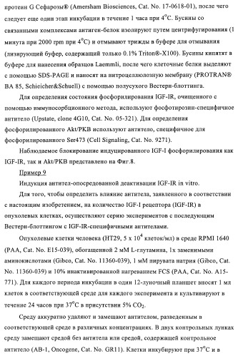 Антитела к рецептору инсулиноподобного фактора роста i и их применение (патент 2363706)