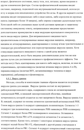 Линии клеток почки собаки майдин-дэрби (mdck), поддерживающие рост вирусов до высоких титров, и способ применения этих клеток в биореакторе (патент 2487935)