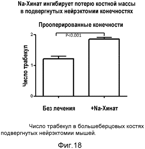 Лечение остеопороза (патент 2562976)