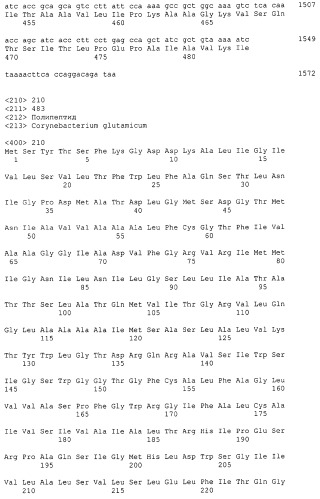 Гены corynebacterium glutamicum, кодирующие белки резистентности и толерантности к стрессам (патент 2303635)