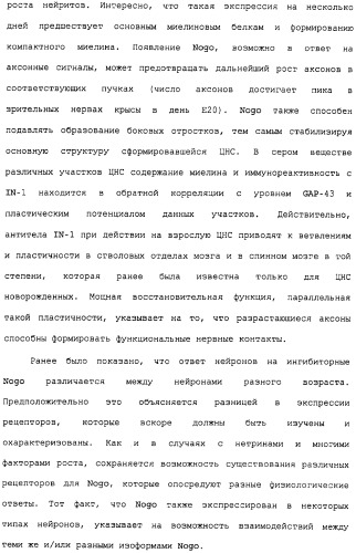 Поликлональное антитело против nogo, фармацевтическая композиция и применение антитела для изготовления лекарственного средства (патент 2432364)