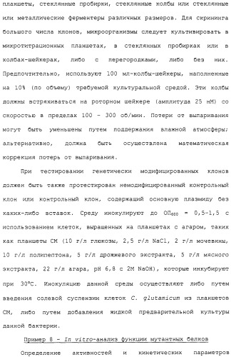 Гены corynebacterium glutamicum, кодирующие белки метаболических путей (патент 2306339)