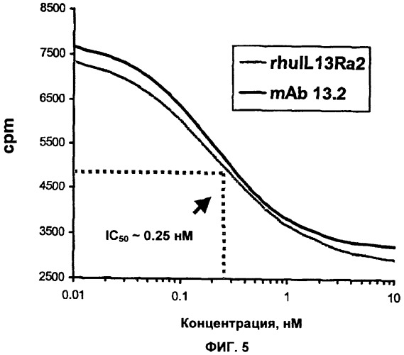 Антитела против интерлейкина-13 человека и их применение (патент 2427589)
