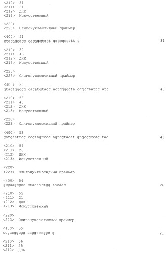 Полипептид (патент 2539776)