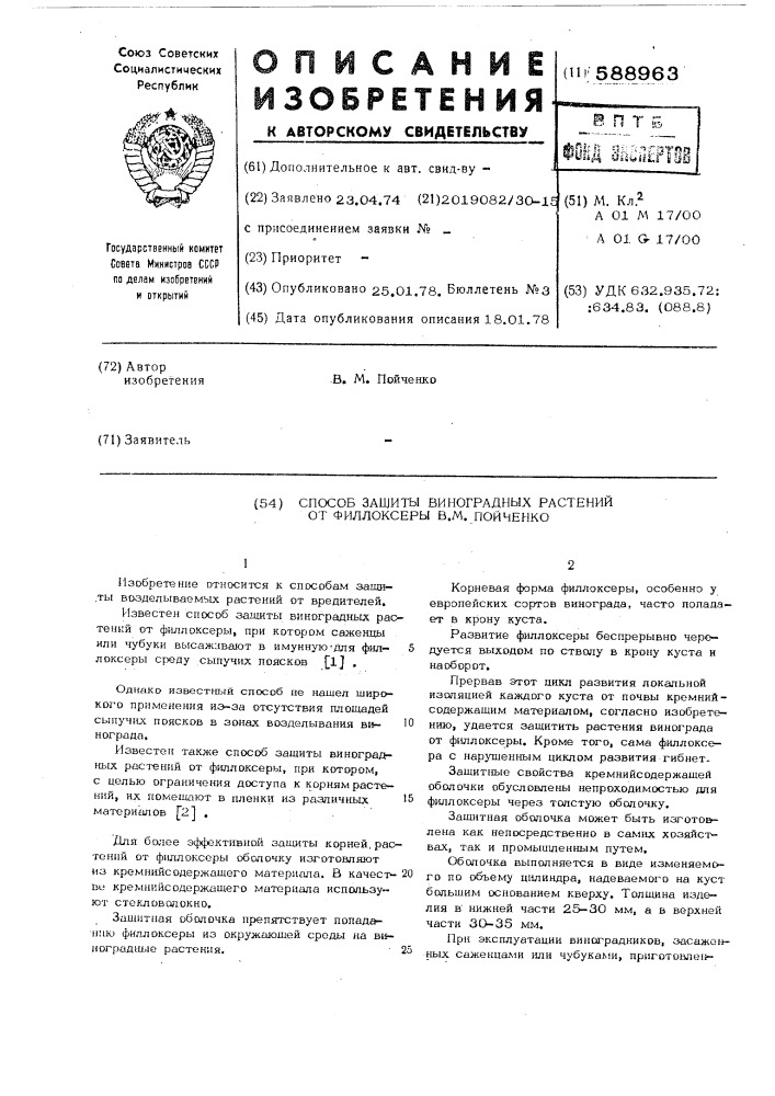 Способ защиты виноградных растений от филлоксеры в.м.пойченко (патент 588963)