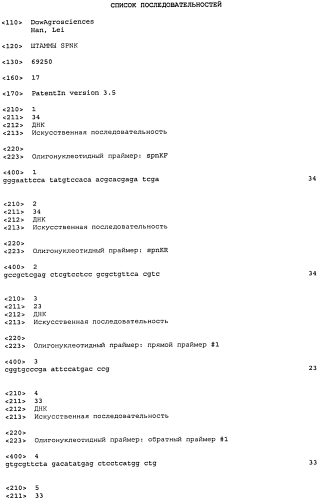 Штаммы spnk (патент 2580015)