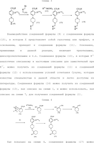 Селективные к bcl-2 агенты, вызывающие апоптоз, для лечения рака и иммунных заболеваний (патент 2497822)