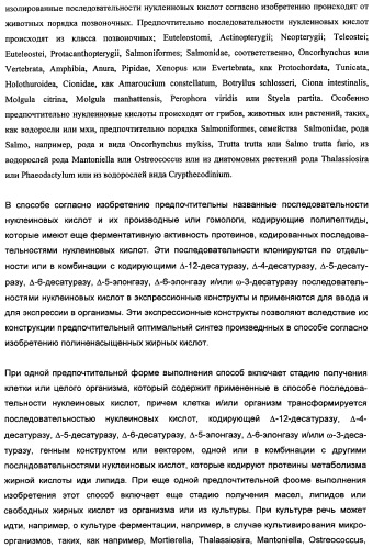 Способ получения полиненасыщенных кислот жирного ряда в трансгенных организмах (патент 2447147)