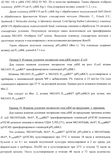 Способ получения l-аминокислоты с использованием бактерии, принадлежащей к роду escherichia (патент 2395579)