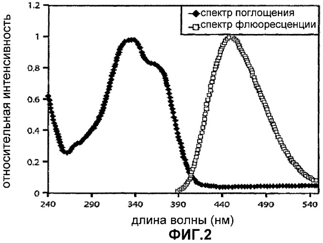 Генетически кодируемые флюоресцентные кумариновые аминокислоты (патент 2473690)