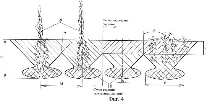 Глубокорыхлитель (патент 2479969)