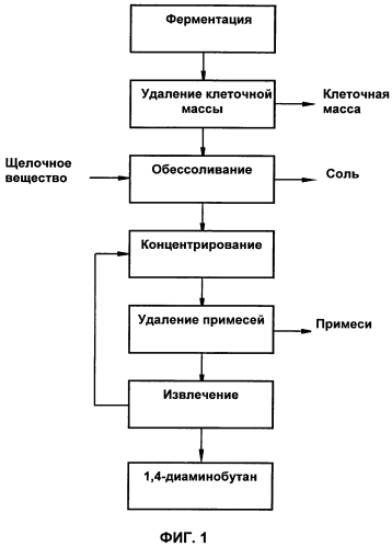 Способ выделения и очистки 1,4-диаминобутана из ферментационного раствора (патент 2573935)