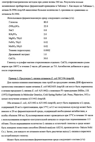 Способ получения l-треонина с использованием бактерии, принадлежащей к роду escherichia, в которой инактивирован оперон rspab (патент 2337961)