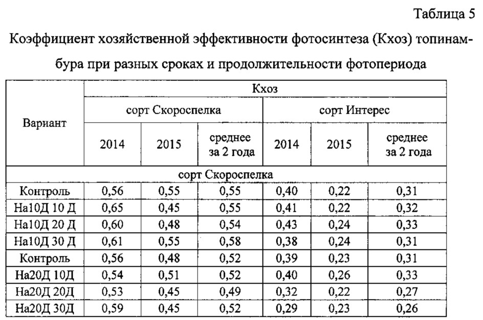 Способ увеличения продуктивности топинамбура (патент 2619306)