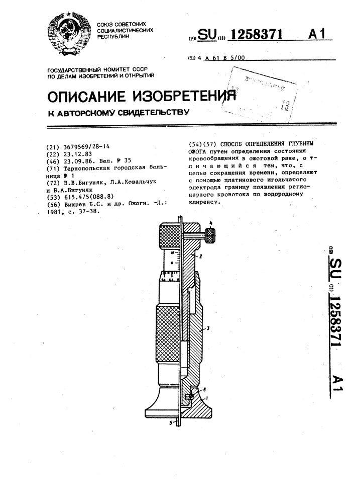 Способ определения глубины ожога (патент 1258371)