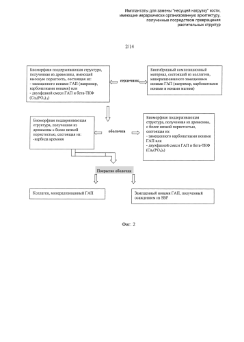 Имплантаты для замены "несущей нагрузку" кости, имеющие иерархически организованную архитектуру, полученные посредством превращения растительных структур (патент 2585958)