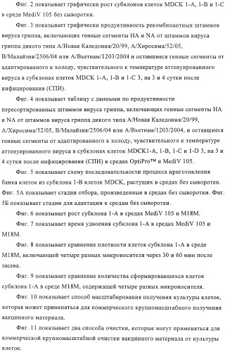 Линии клеток почки собаки майдин-дэрби (mdck), поддерживающие рост вирусов до высоких титров, и способ применения этих клеток в биореакторе (патент 2487935)