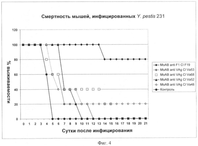 Мышиные моноклональные антитела, связывающиеся с антигеном f1 из yersinia pestis, способ их получения с использованием дрожжей, способ и набор для детекции yersinia pestis (патент 2420588)