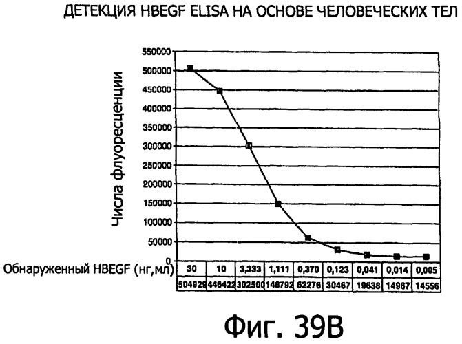 Белки, связывающие антиген фактор роста, подобный гепаринсвязывающему эпидермальному фактору роста (патент 2504551)