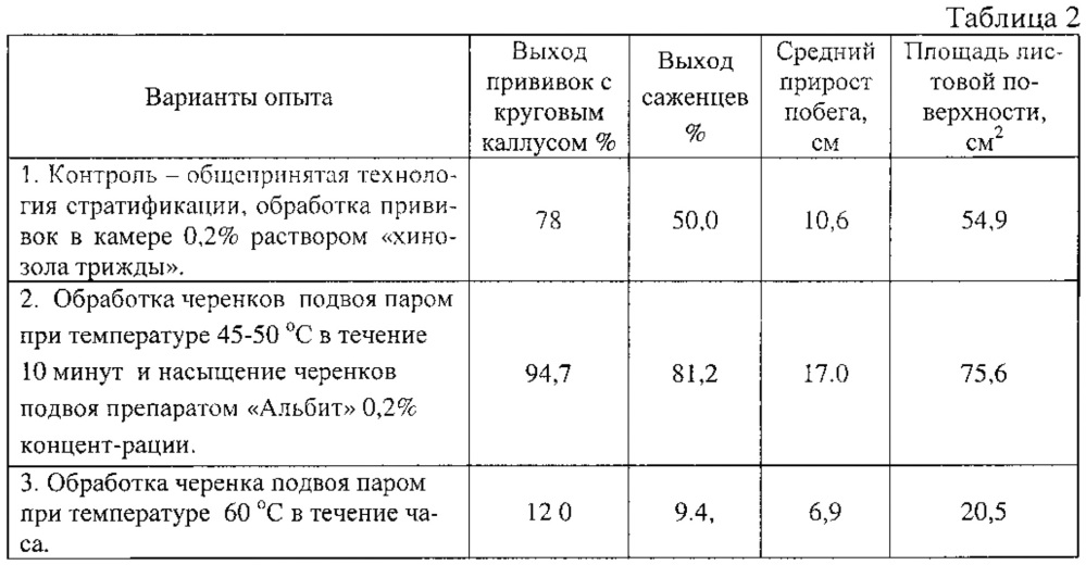 Способ и устройство для борьбы с botrytis cinerea при выращивании привитых саженцев винограда (патент 2626722)