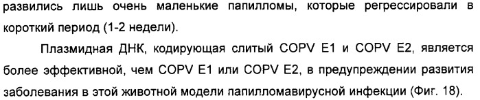 Полинуклеотидная последовательность, кодирующая полипептид вируса папилломы человека, ее применение, а также содержащие ее вектор и фармацевтическая композиция (патент 2354701)