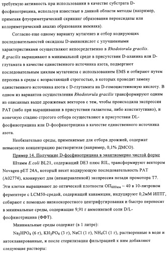 Способ избирательного получения растений с мужской или женской стерильностью (патент 2320722)