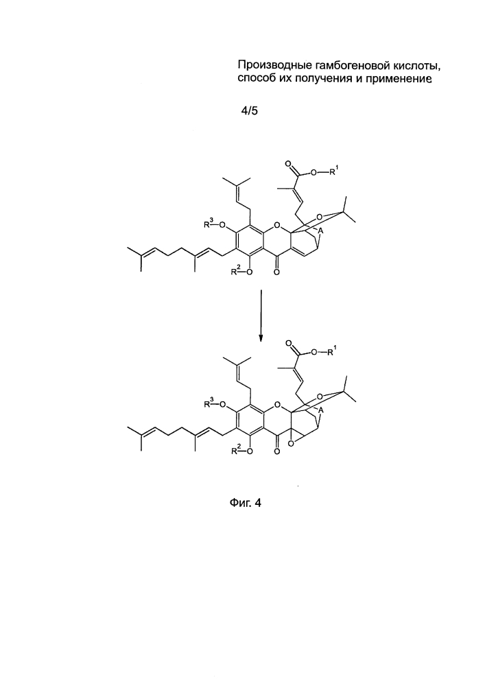 Производные гамбогеновой кислоты, способ их получения и применение (патент 2598032)