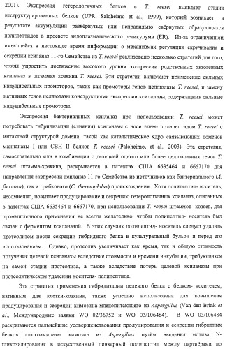 Модифицированная ксиланаза (патент 2394909)