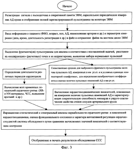 Способ пульсометрической оценки функционального состояния и характера вегетативной регуляции сердечно-сосудистой системы человека (патент 2268639)