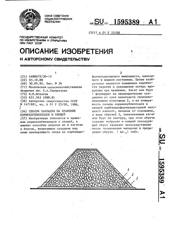 Способ закладки на хранение корнеклубнеплодов и овощей (патент 1595389)