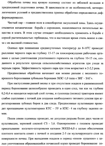 Способ возделывания яровой пшеницы предпочтительно в зоне светло-каштановых почв нижнего поволжья (варианты) (патент 2348137)