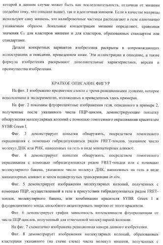 Бесконтактные способы обнаружения молекулярных колоний, наборы реагентов и устройство для их осуществления (патент 2394915)