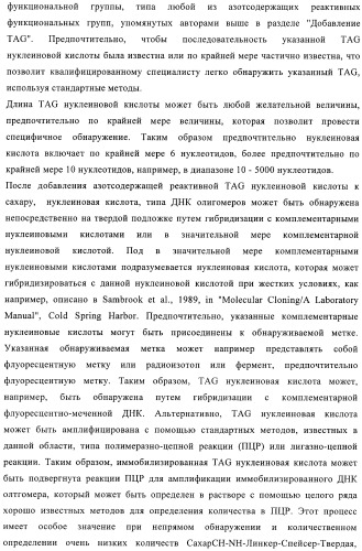 Твердофазное тегирование олигосахаридов: методика для манипуляции с иммобилизированными углеводами (патент 2398237)