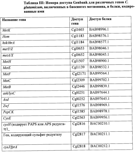 Рекомбинантные микроорганизмы, продуцирующие метионин (патент 2447146)