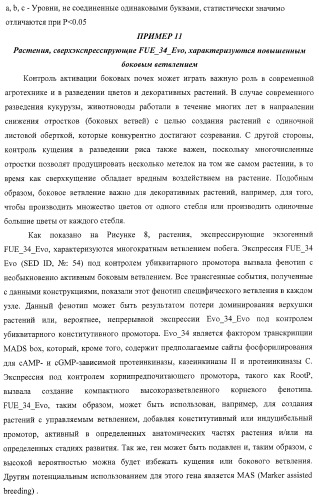 Изолированные полипептиды, кодирующие их полинуклеотиды, экспрессирующие их трансгенные растения и способы их использования (патент 2425151)