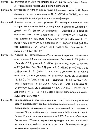 Очищенные оболочечные белки вируса гепатита с для диагностического и терапевтического применения (патент 2319505)