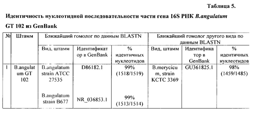 Штаммы bifidobacterium adolescentis 150 и bifidobacterium angulatum gt 102, синтезирующие гамма-аминомасляную кислоту (патент 2614110)