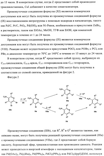 Производные азабифениламинобензойной кислоты в качестве ингибиторов dhodh (патент 2481334)