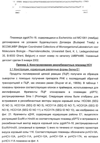 Очищенные белки оболочки вируса гепатита с для диагностического и терапевтического применения (патент 2313363)