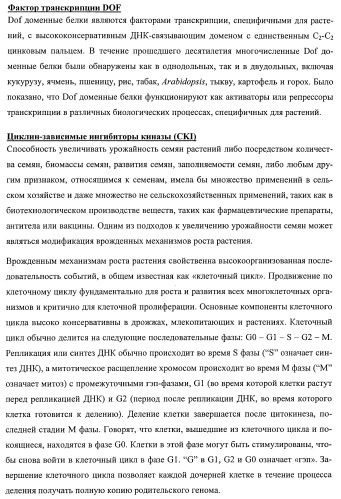 Растения, имеющие улучшенные характеристики роста, и способы их получения (патент 2463352)