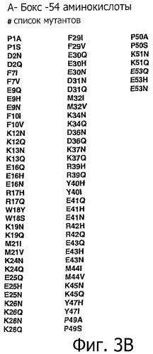 Конъюгаты с полимером а-бокса hmgb1 и вариантов а-бокса hmgb1 (патент 2458070)