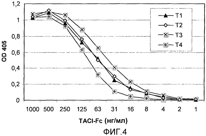 Оптимизированный слитый белок taci-fc (патент 2433141)