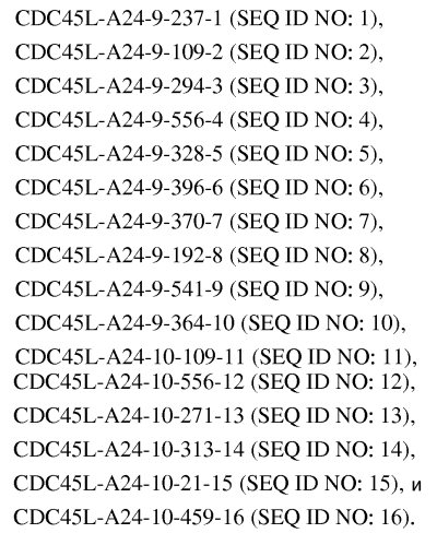 Пептиды cdc45l и вакцины, включающие таковые (патент 2562160)